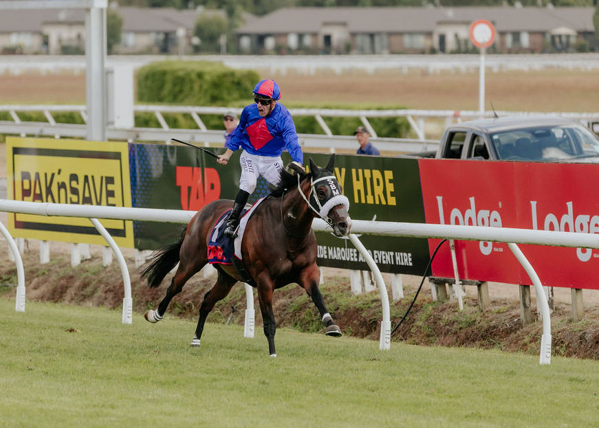 Membership - Waikato Thoroughbred Racing